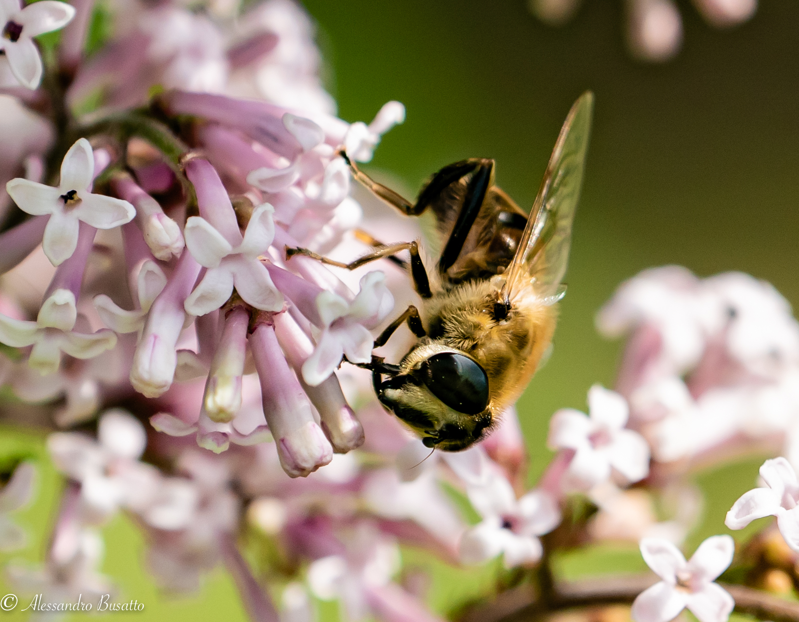 Worker at work