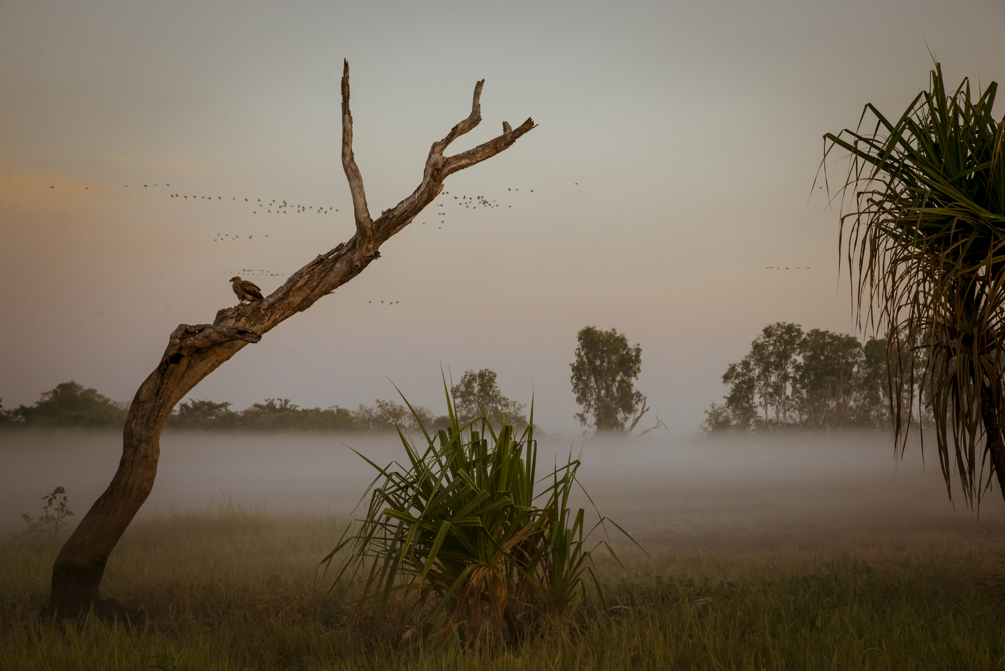 Kakadu National Park Mist