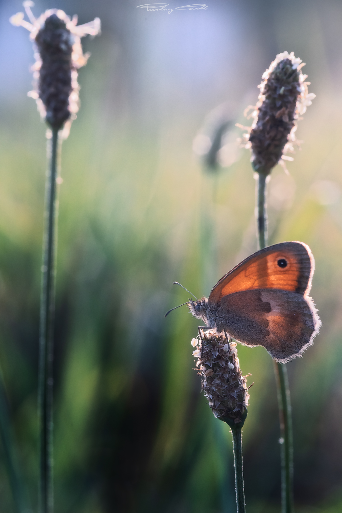 ultimi raggi di sole