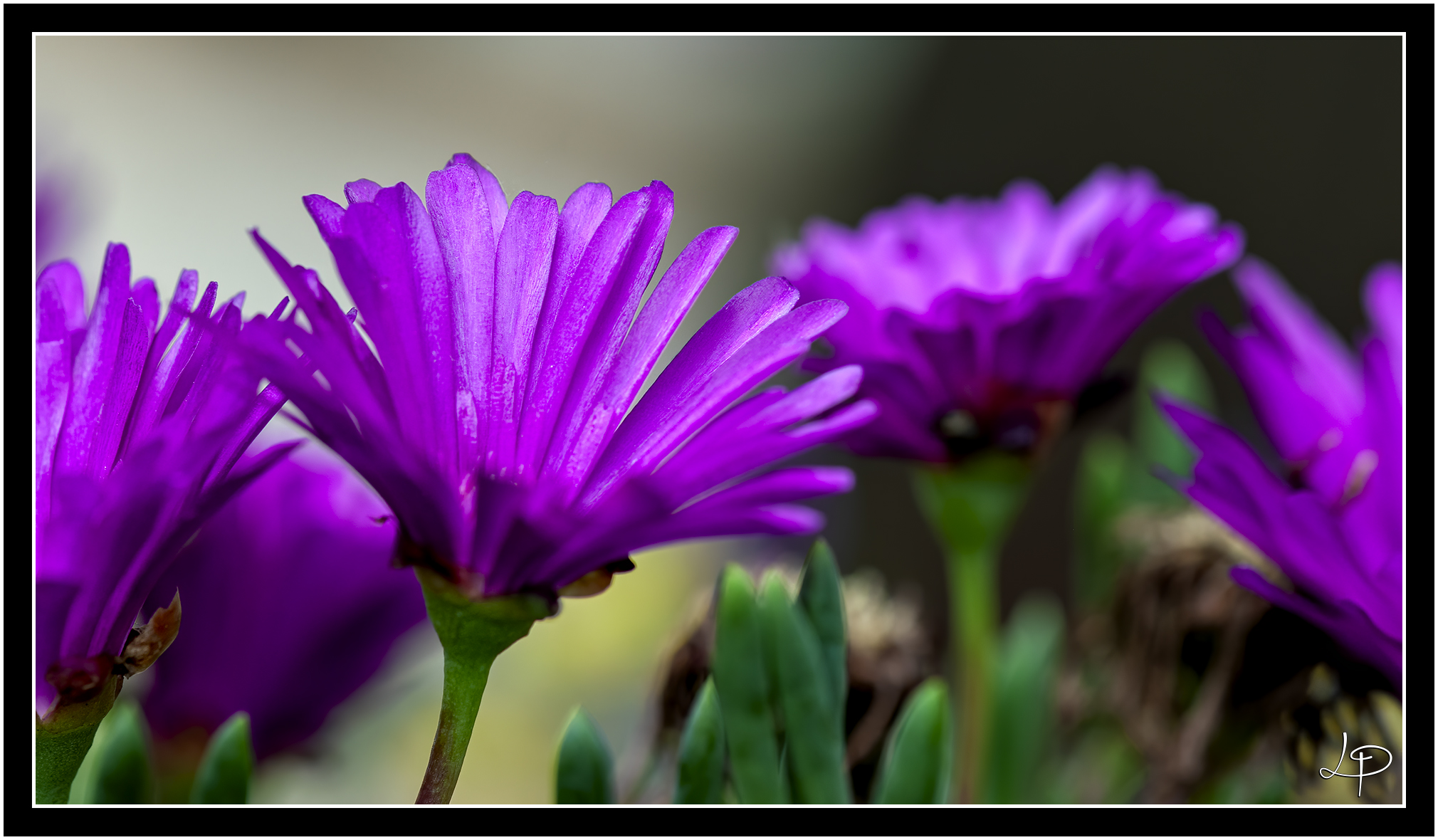Untitled Photo