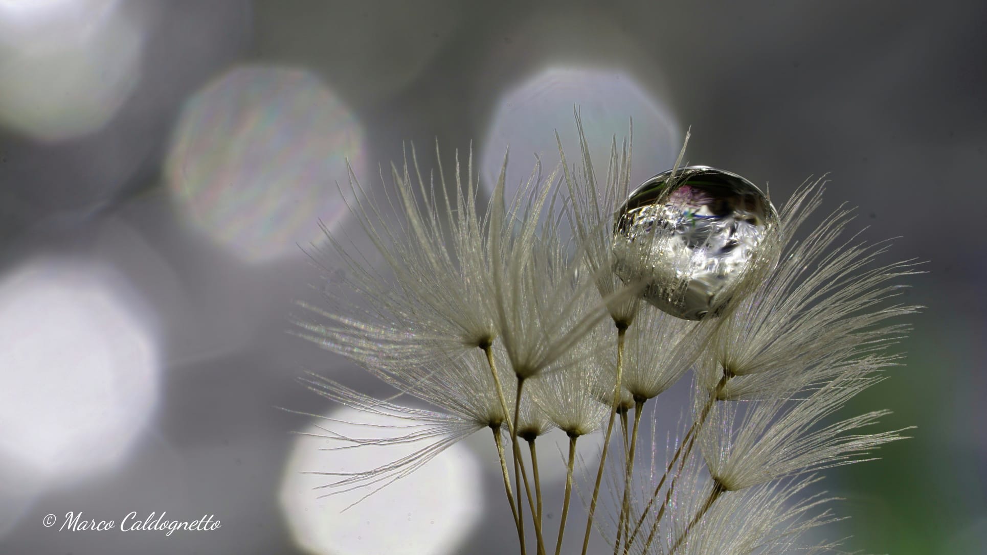 L ' apparenza inganna e lo specchio mente