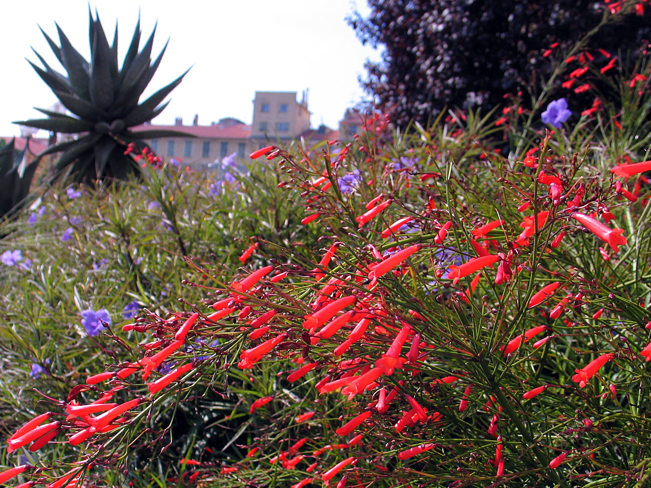 at the gates of the city