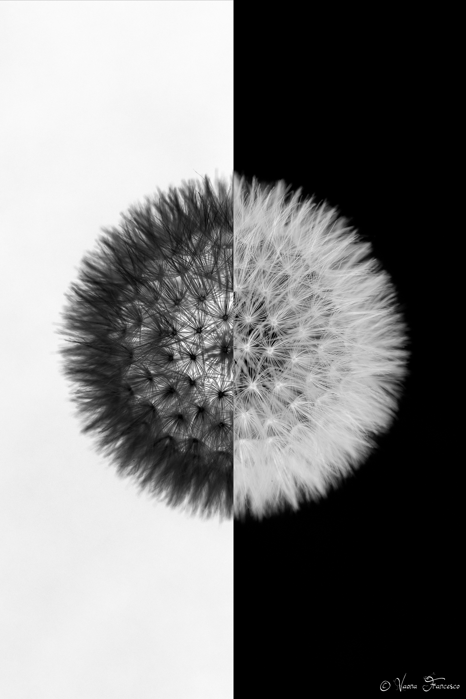 The Dark Side of the Pisacagn