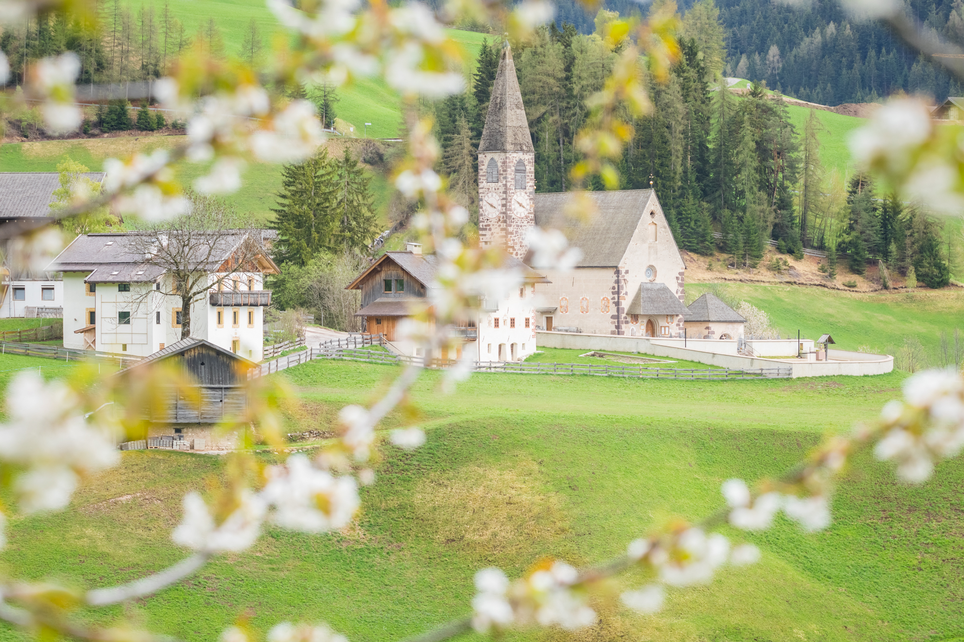 Primavera in Val di Funes