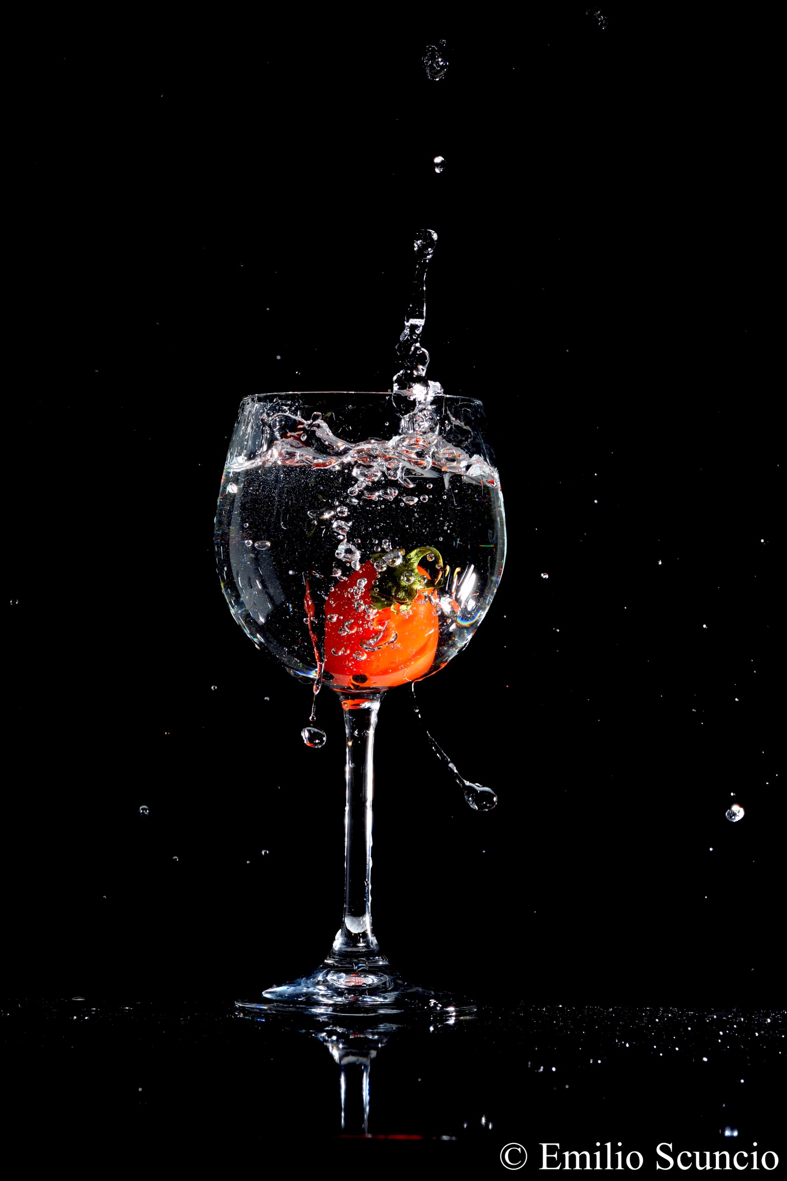 Splash