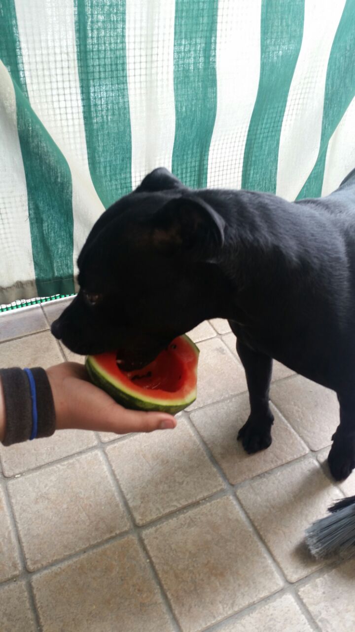 Carmela and watermelon