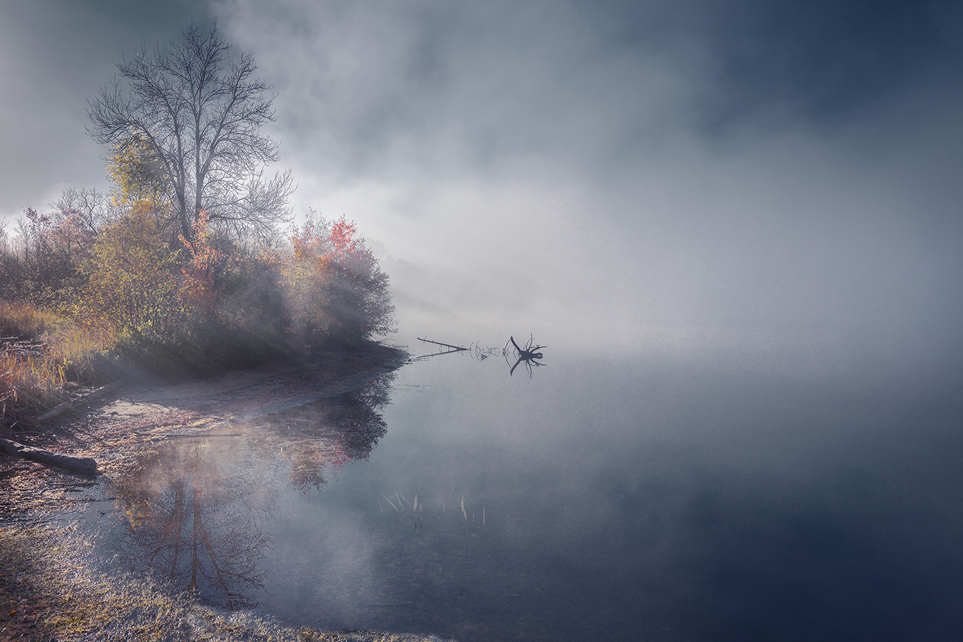 Algonquin from Canada