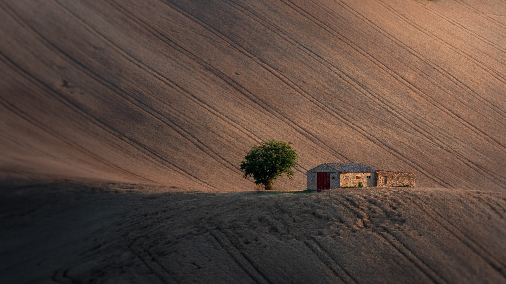 Il casolare ed il gelso