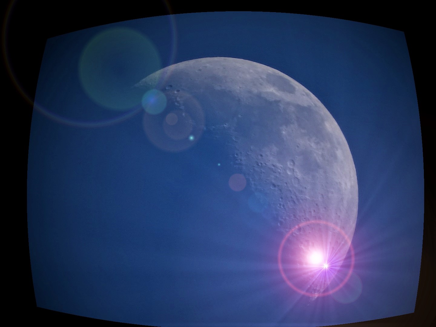 luna..in quarantena..