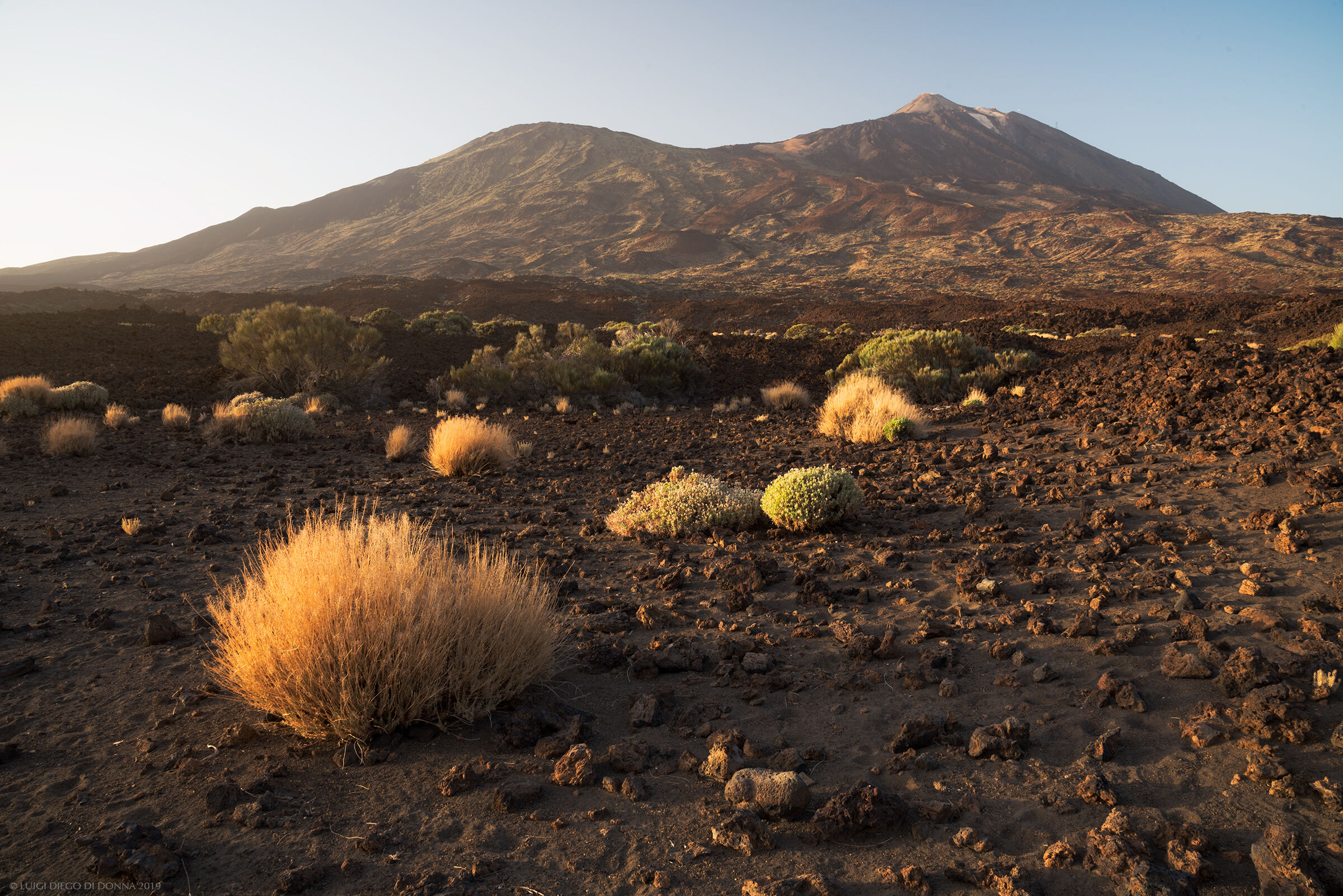 Parco del Teide