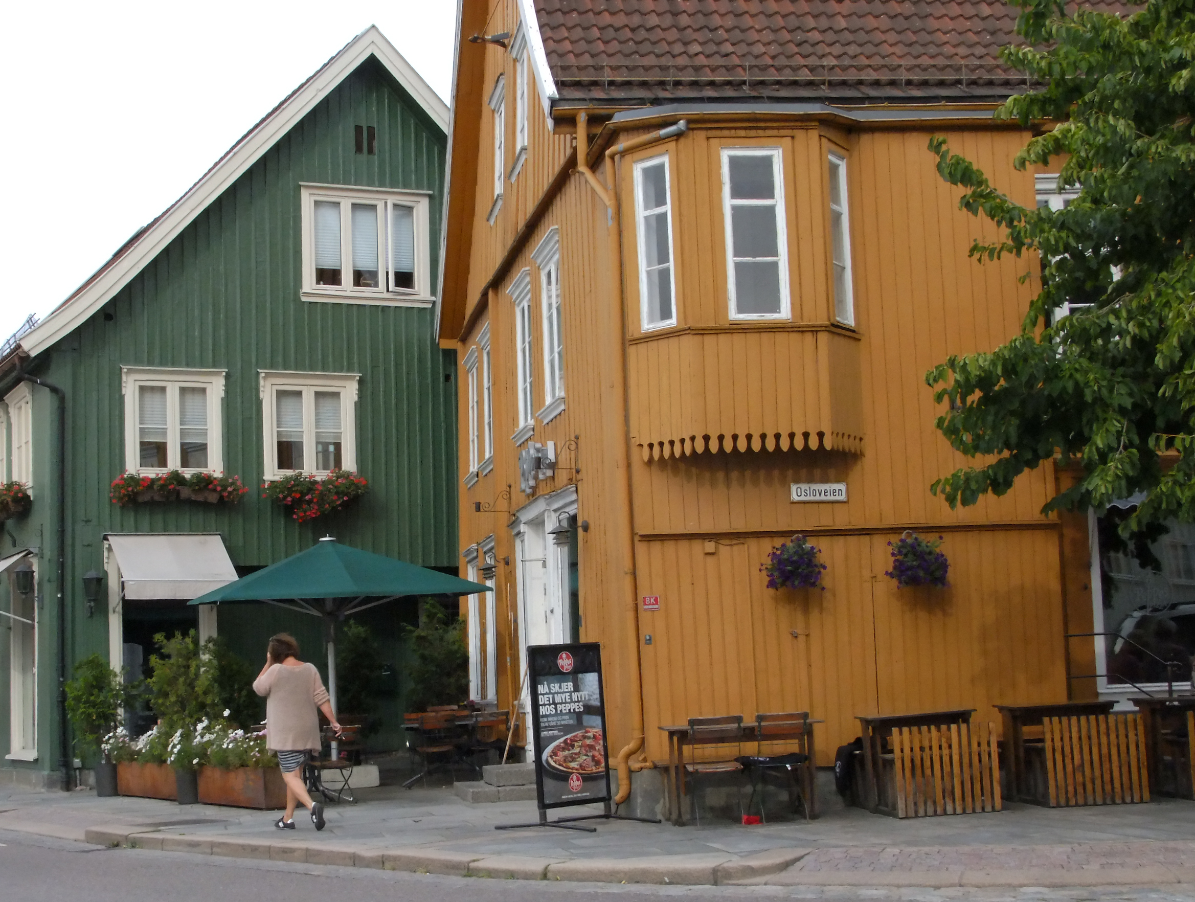 Norwegian houses