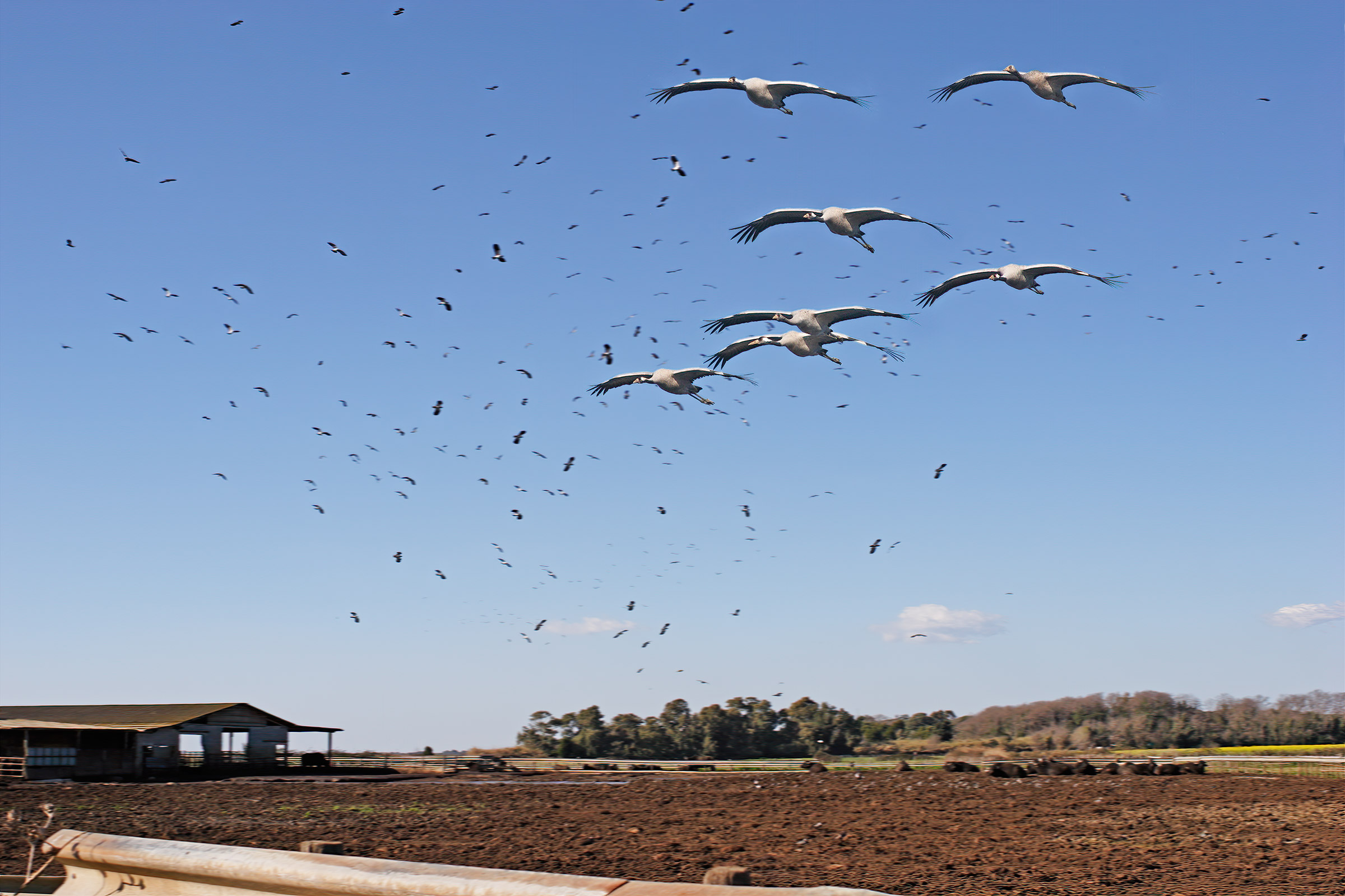 Ambiente P. N. del Circeo nel 2007
