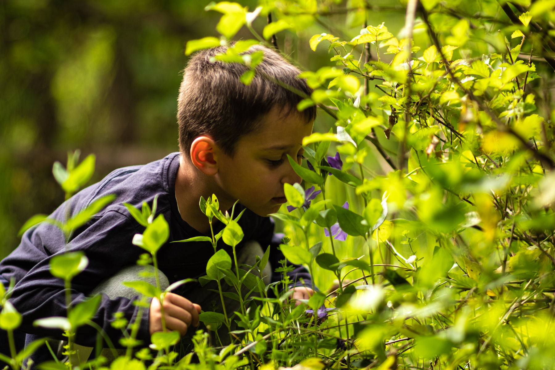 Il profumo della natura