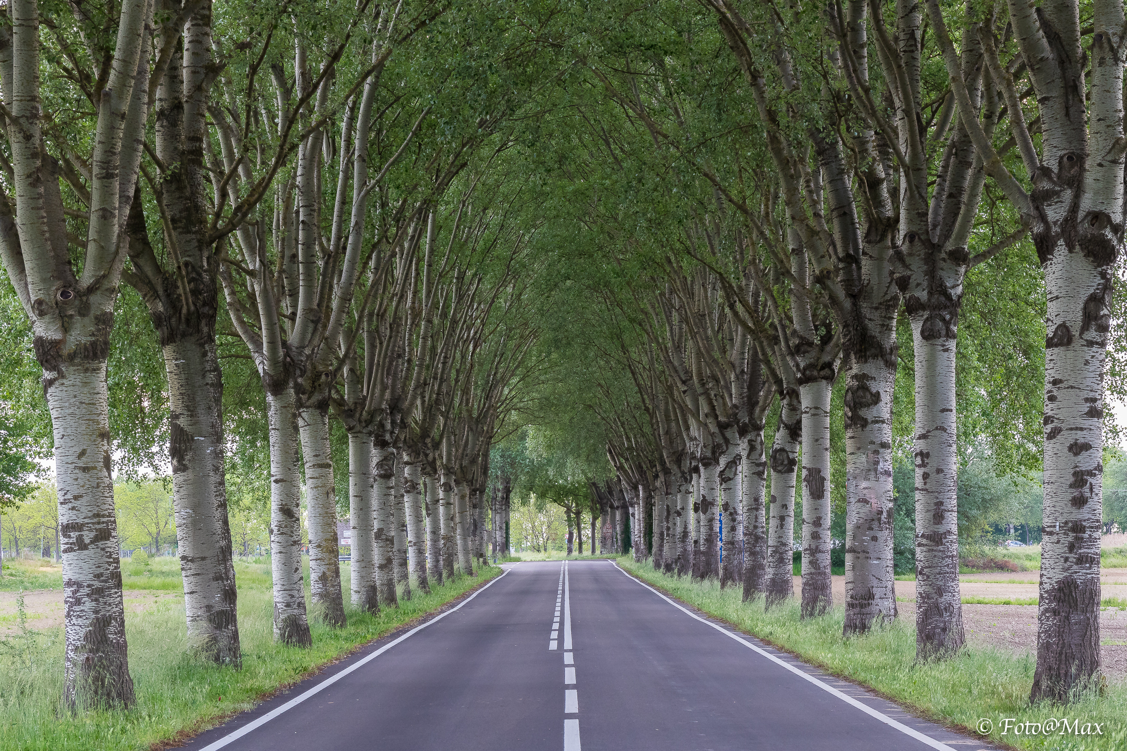 the "dark edges" of usothers