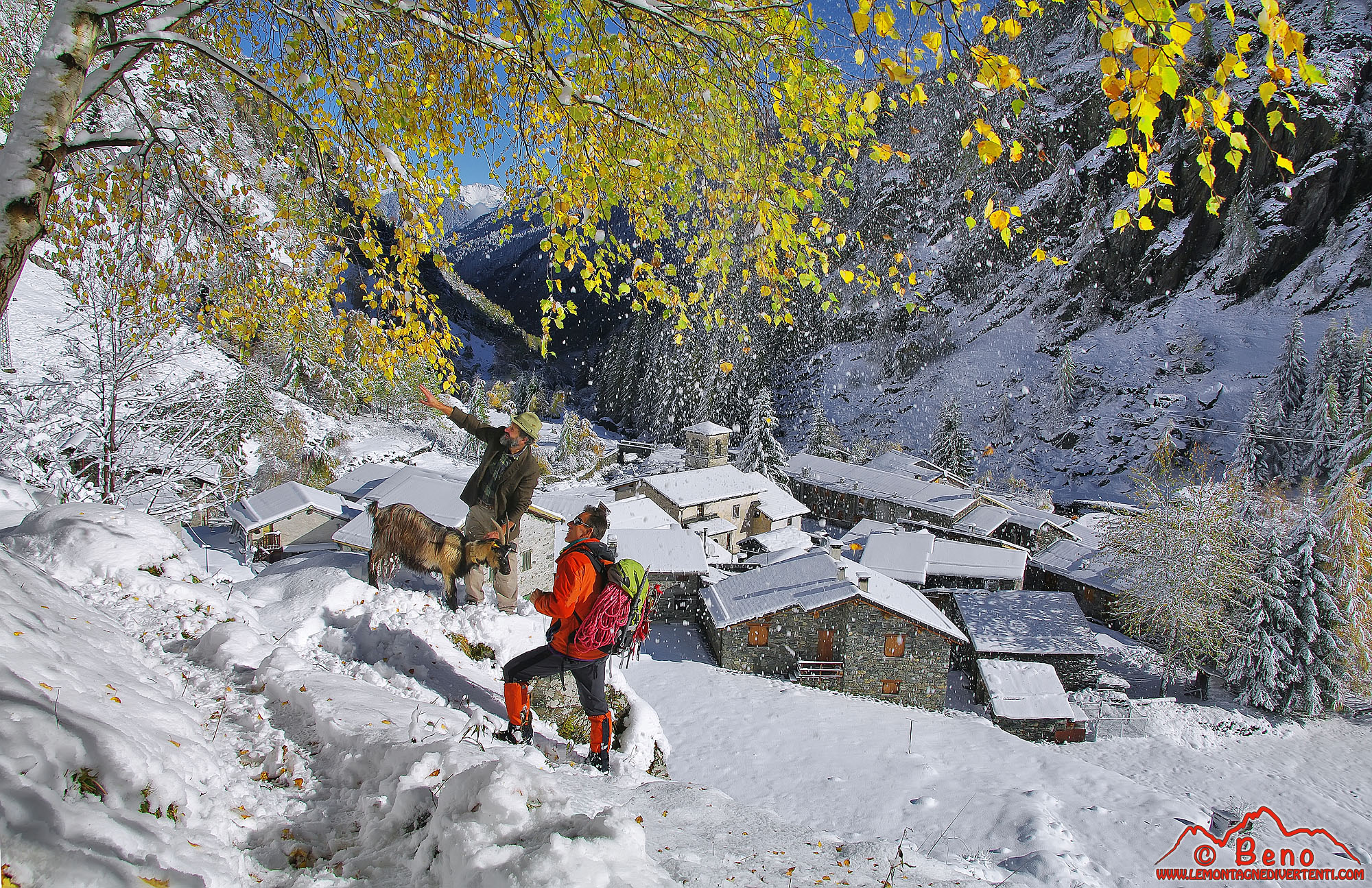 Pastore ed alpinista ad Ambria