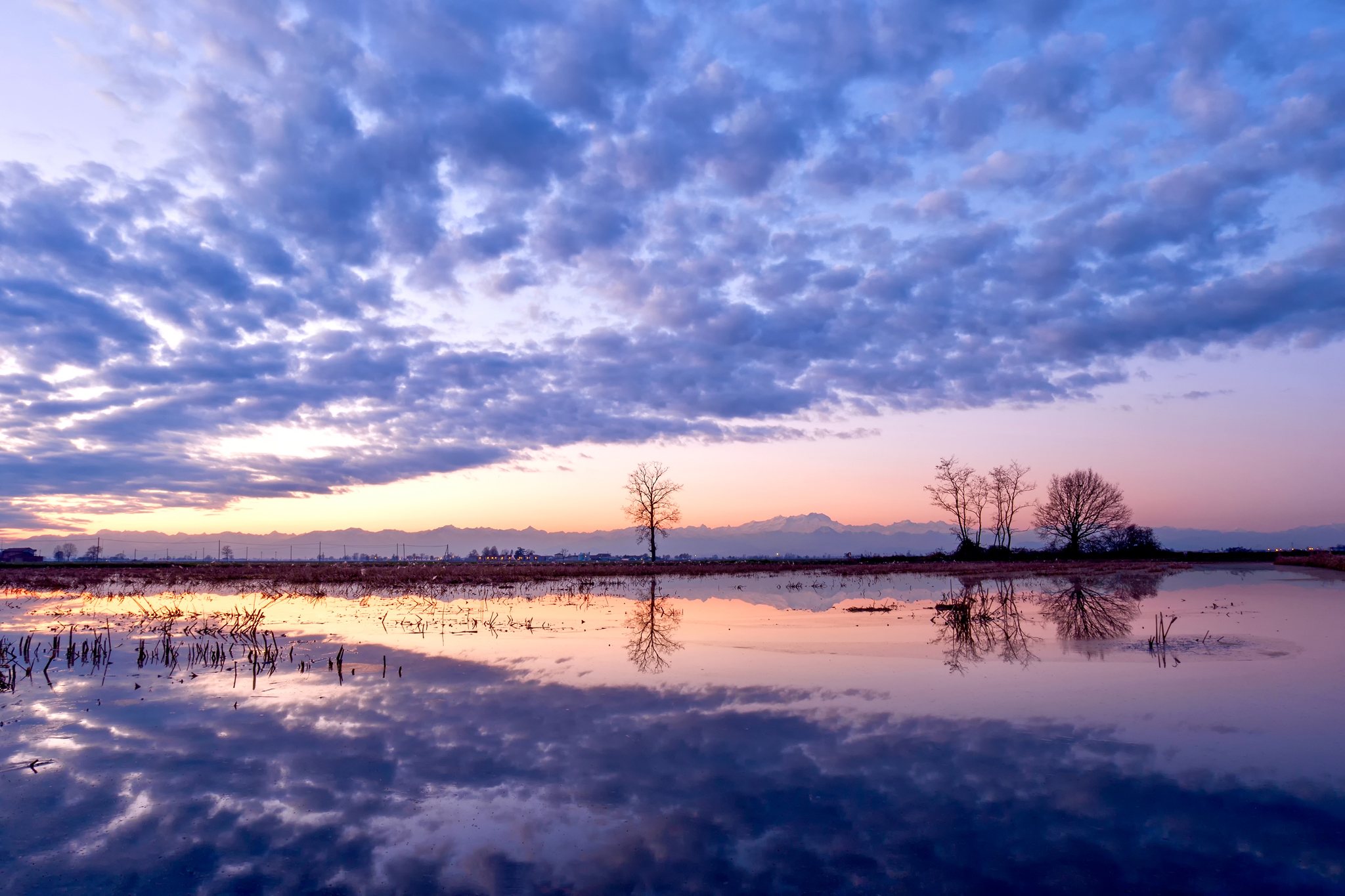 Riflessioni invernali