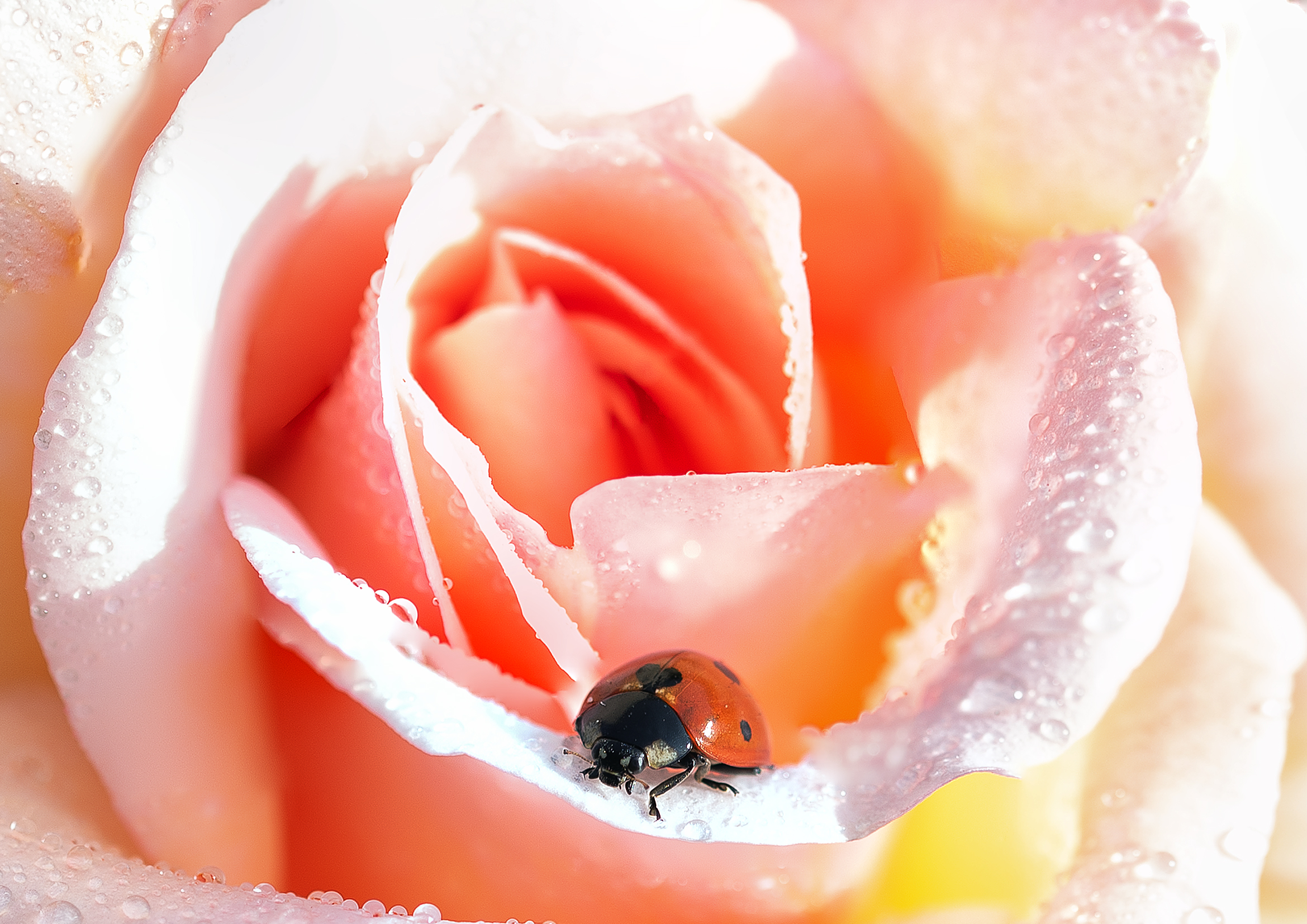 The awakening of nature...