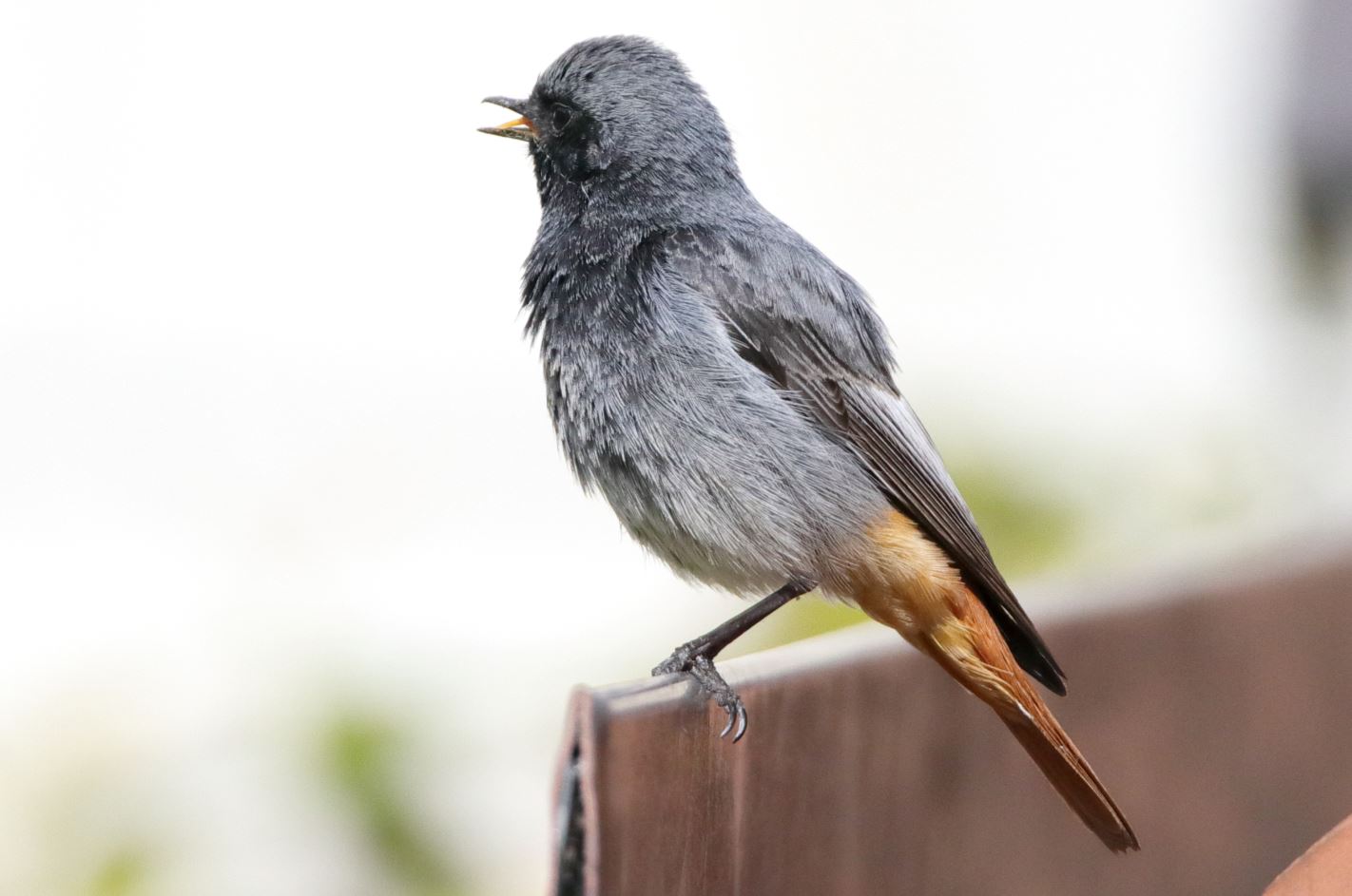 I'm not shot I was going a little clear