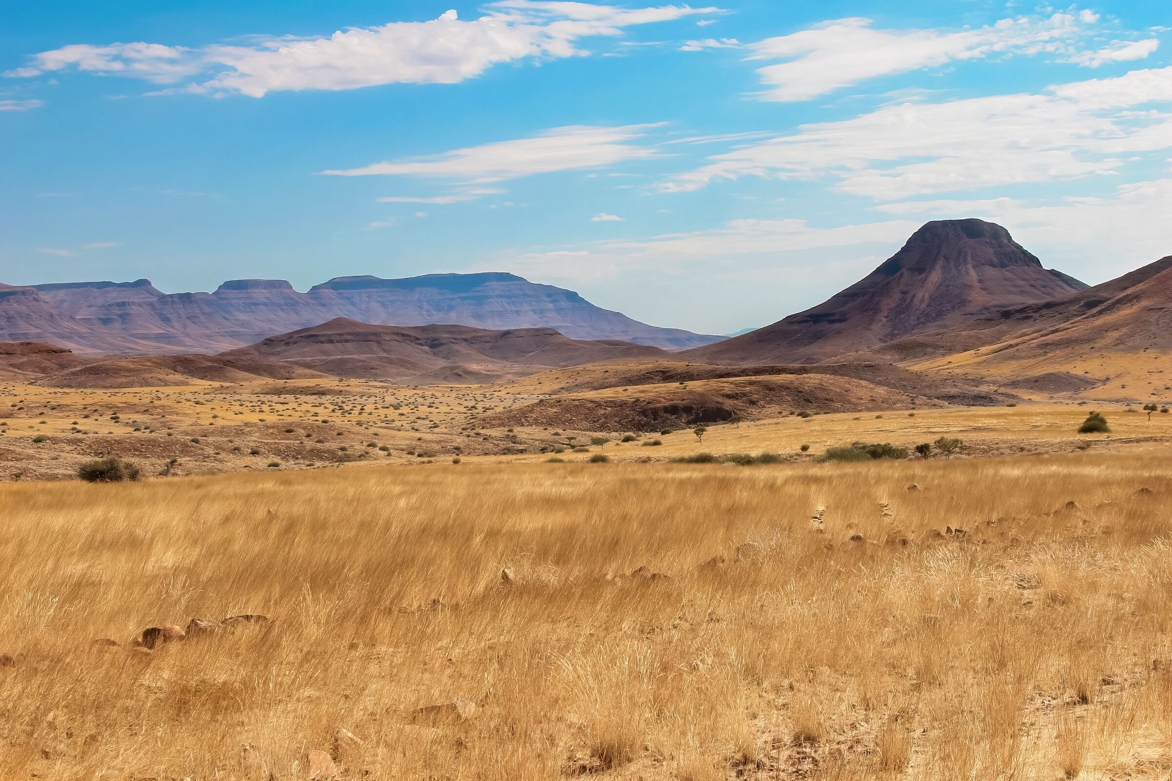 le pianure del Damaraland