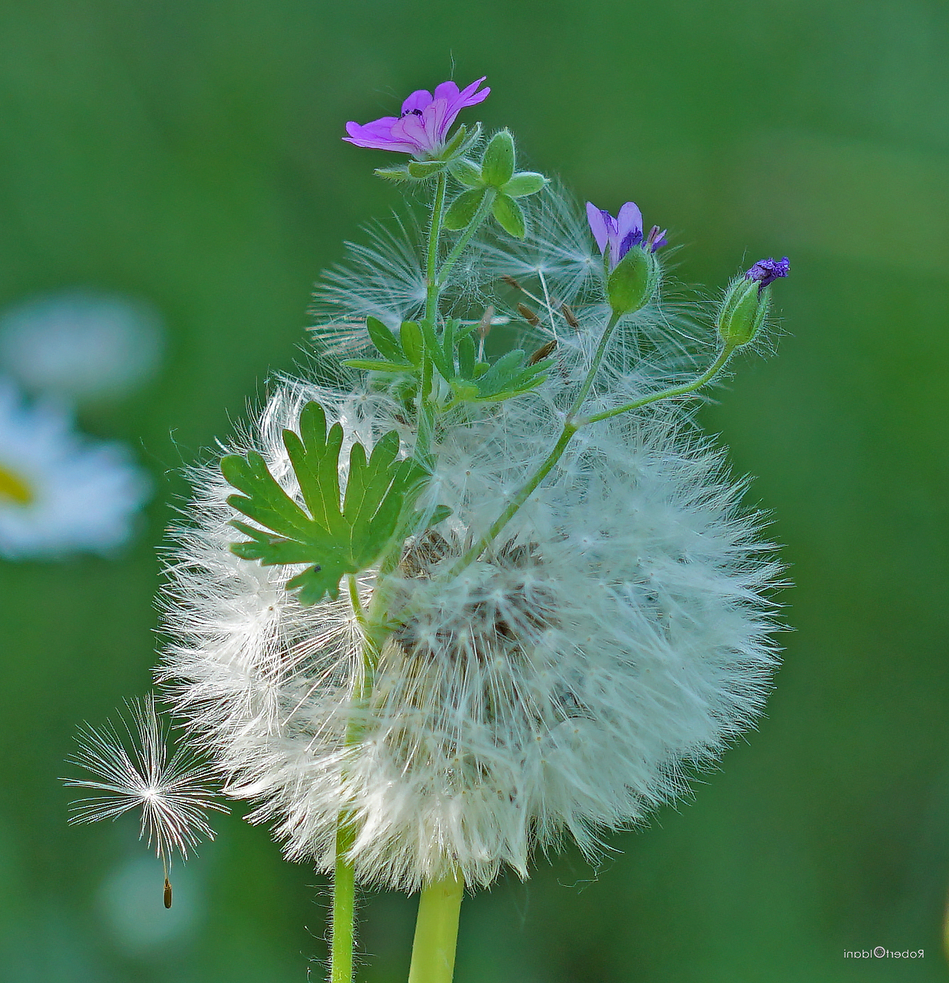 Untitled Photo