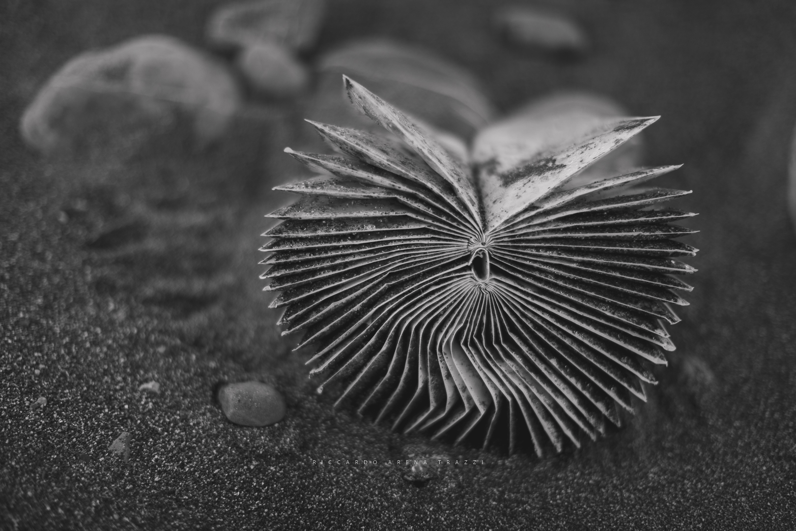 Life is like a book brought from the sea