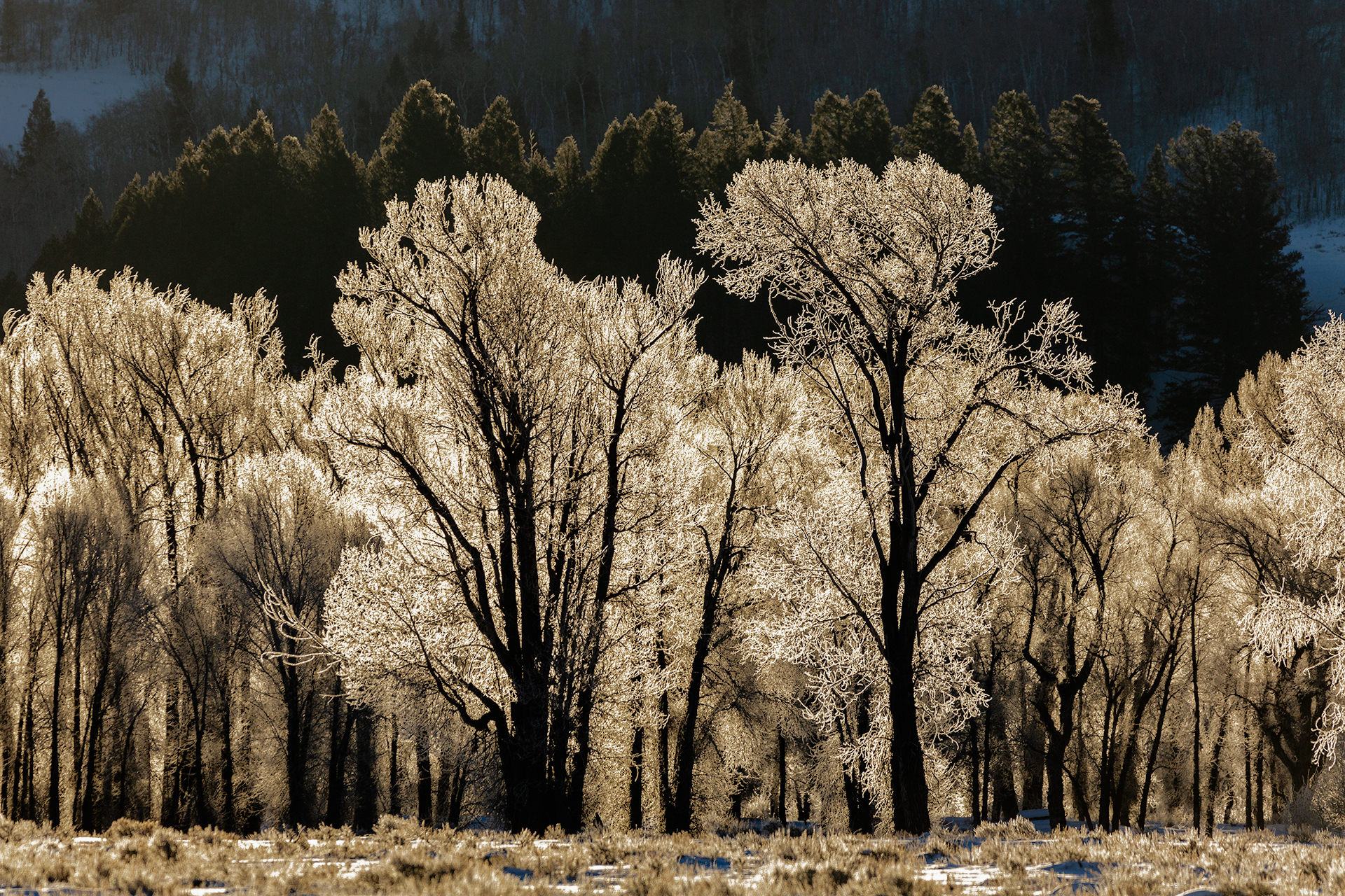 Frozen Il regno di ghiaccio