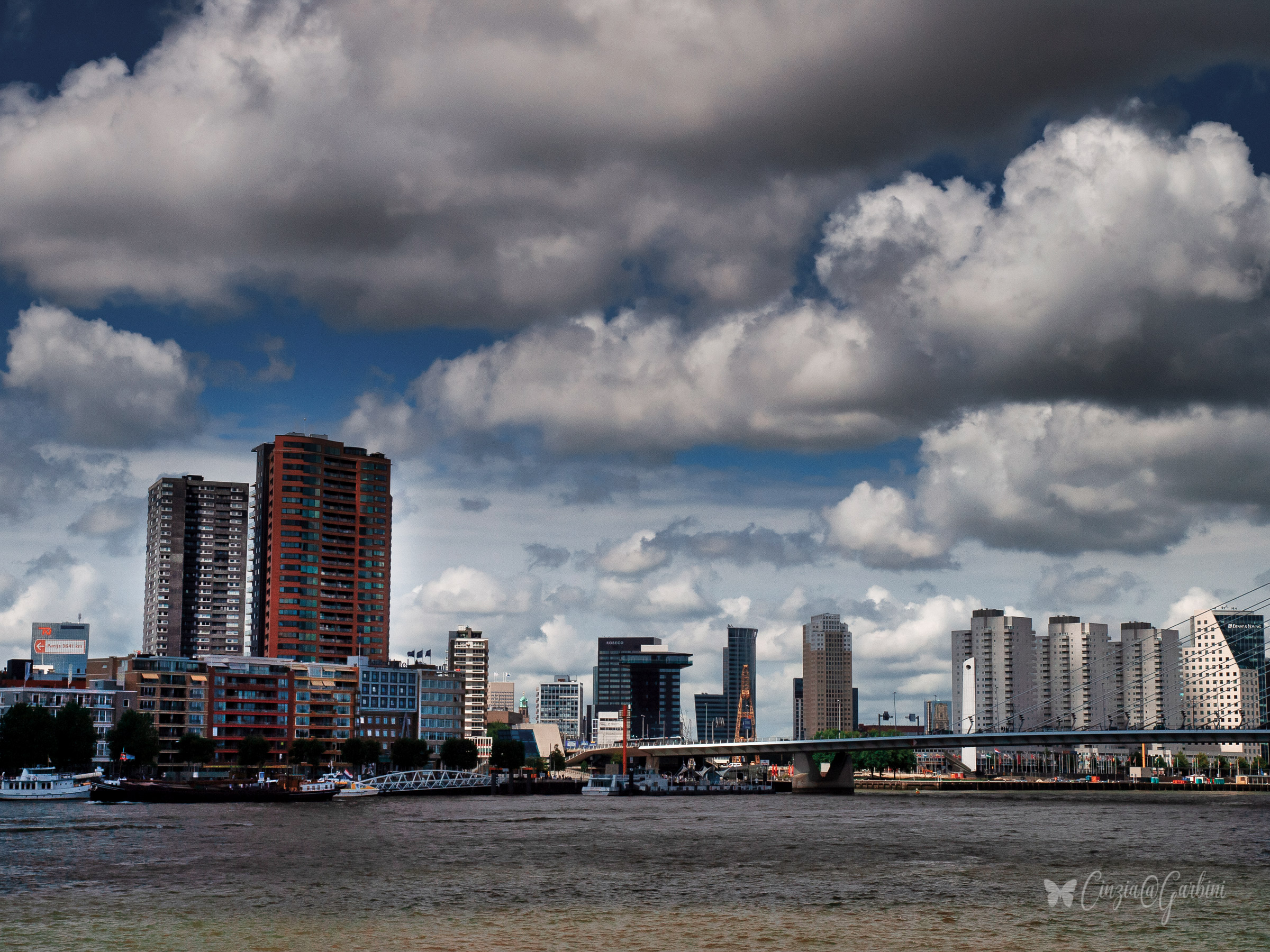 navigando verso rotterdam