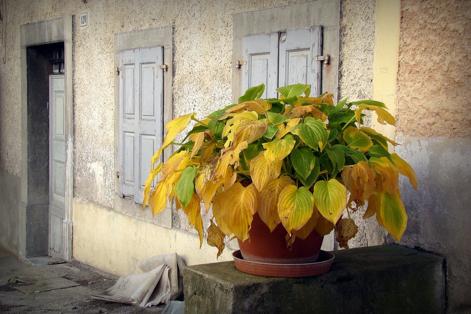 Autumn in Pesariis (Udine)
