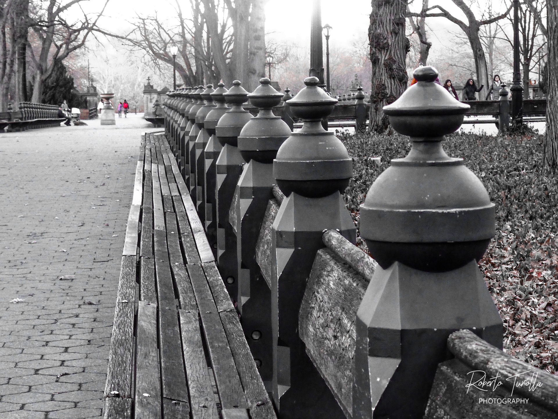 Central Park New York City