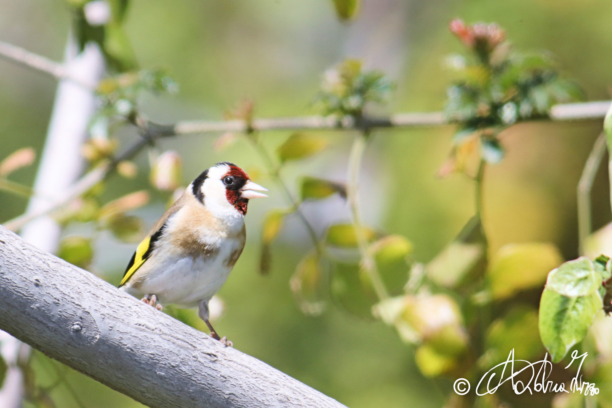 il mio profilo migliore
