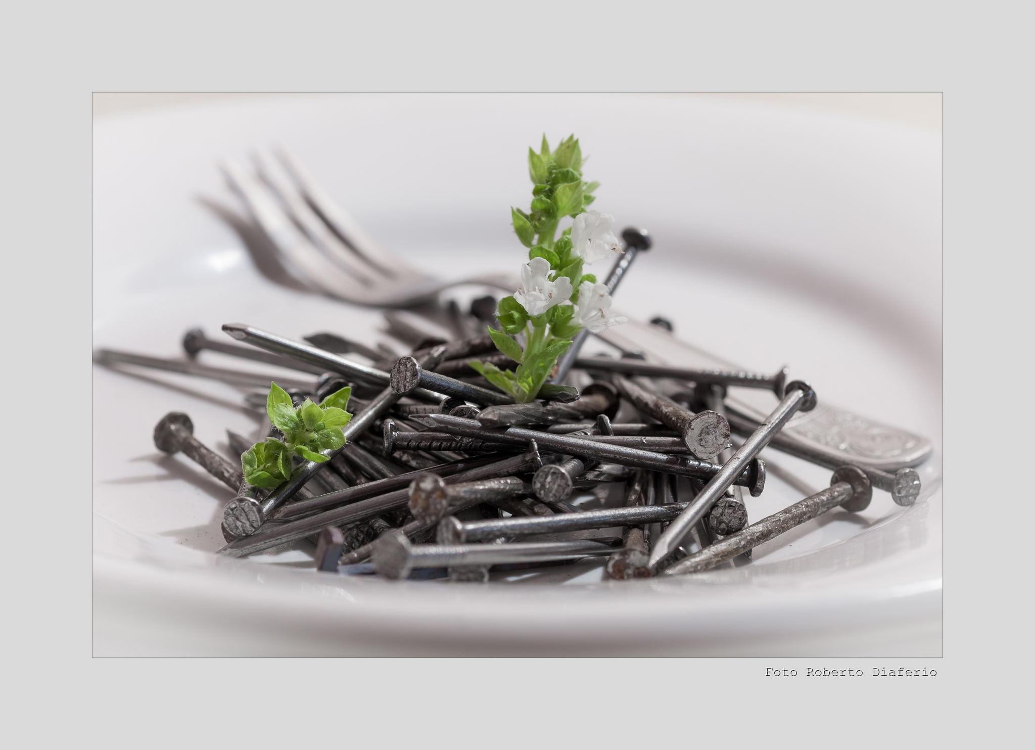 duro da mandar giù.