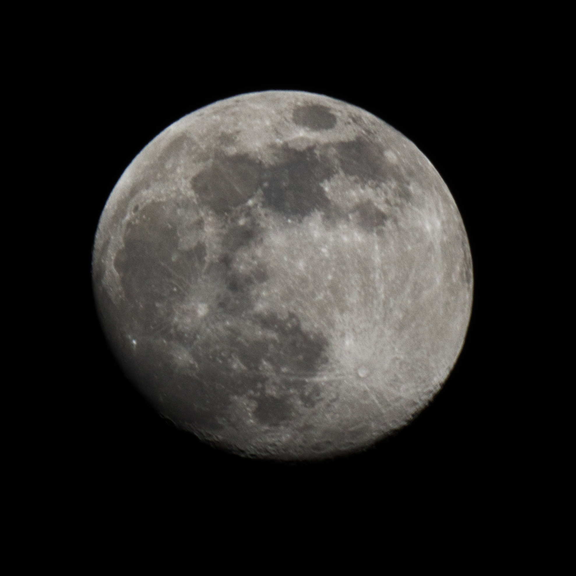 Luna 05/05 Crop e PP con Affinity