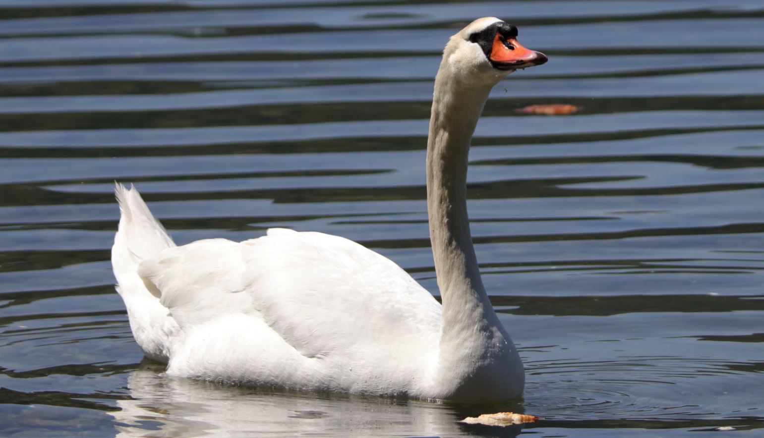 I'm always yesterday's