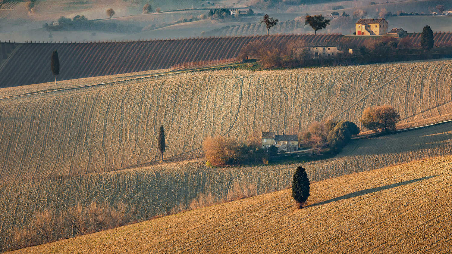 Uno scorcio in collina