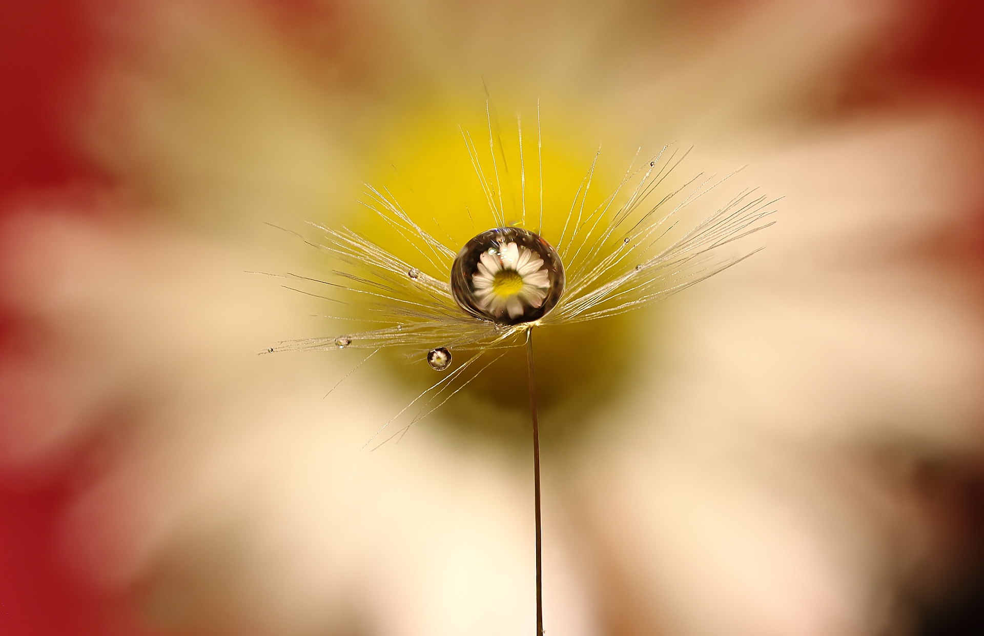 experiments continue