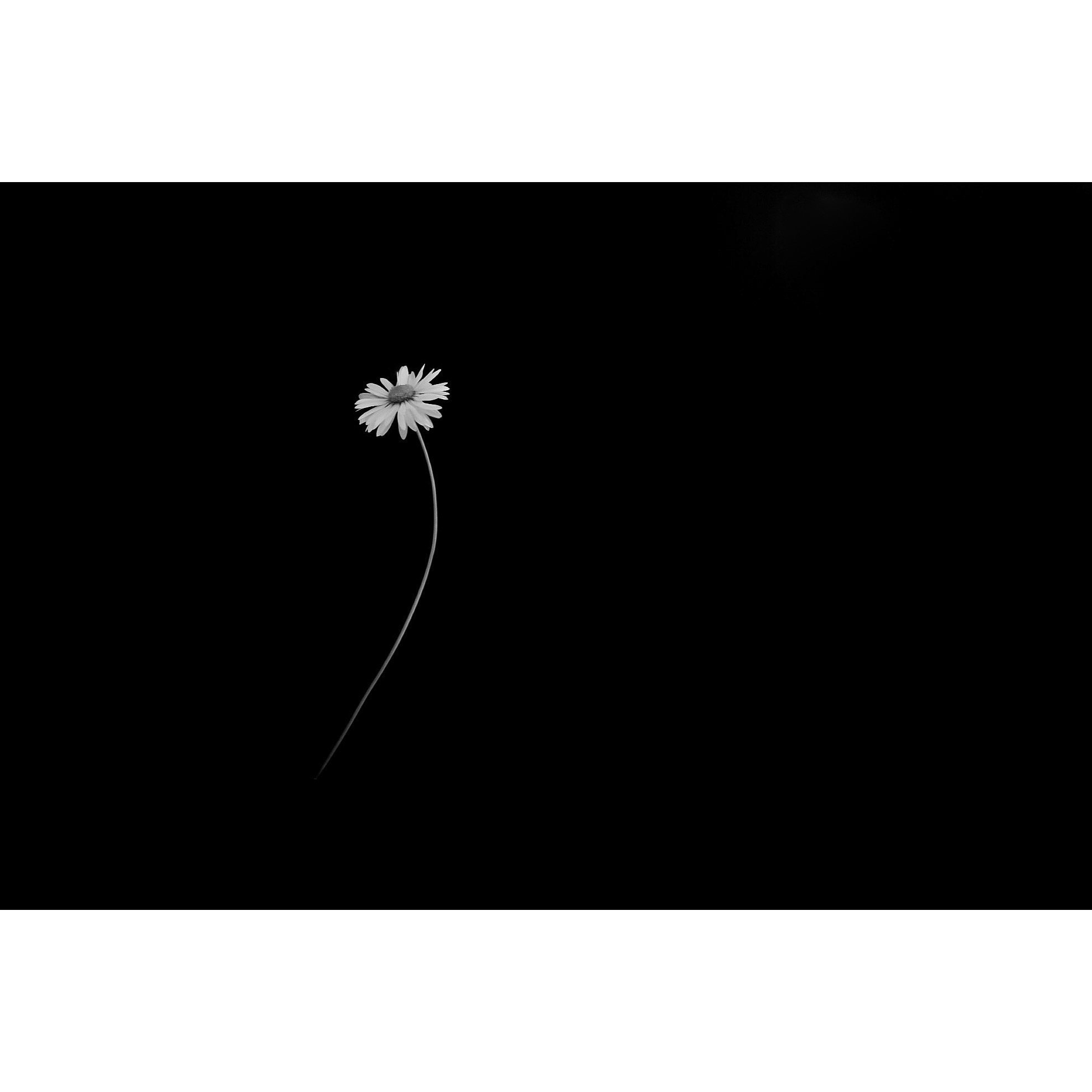 shyness