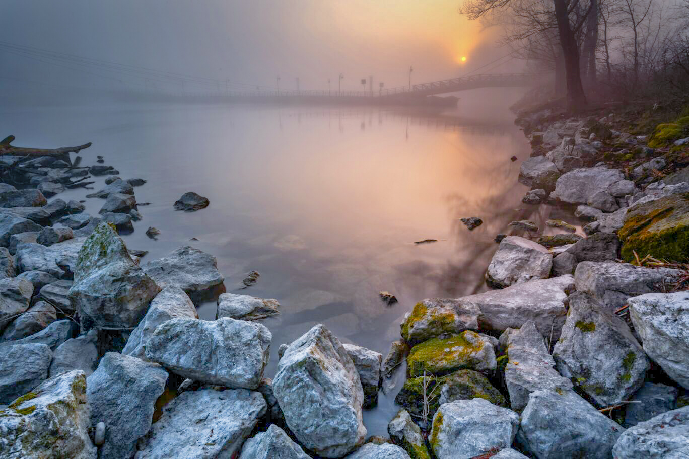 Quarantine Byte Repost