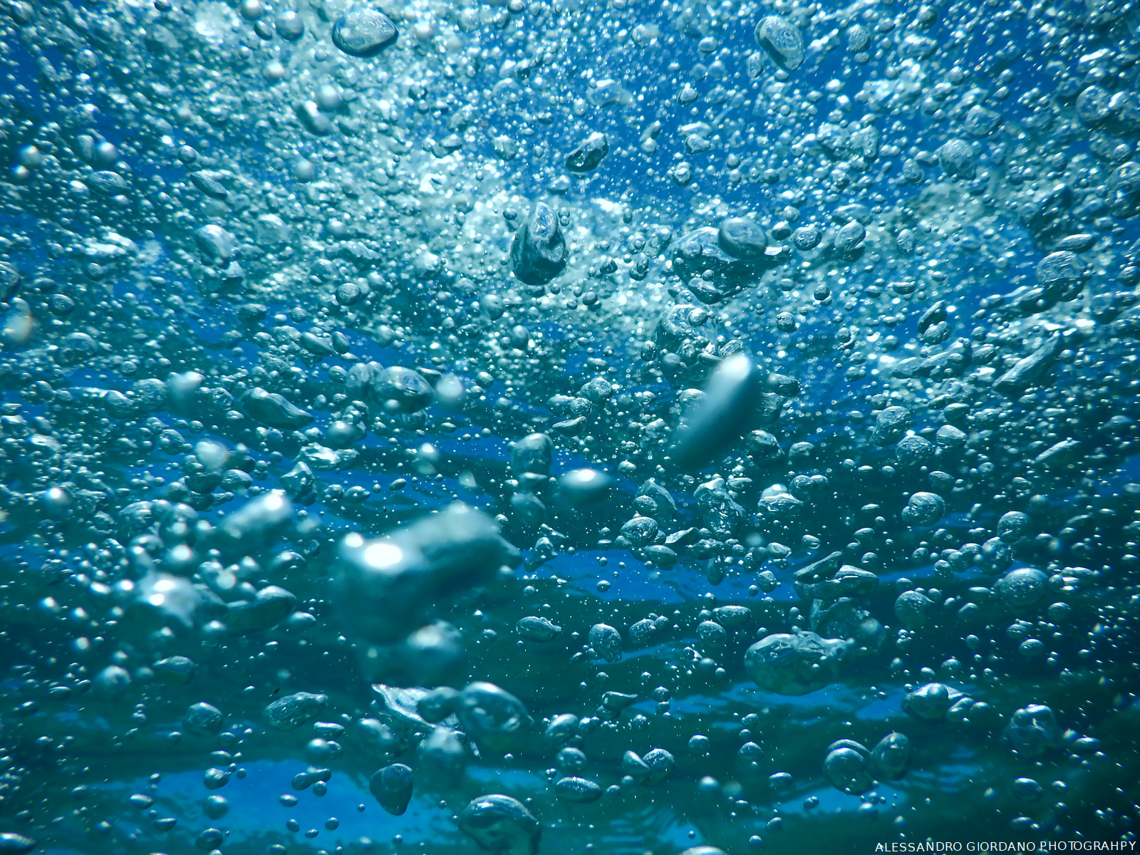 AT THE BOTTOM OF THE SEA