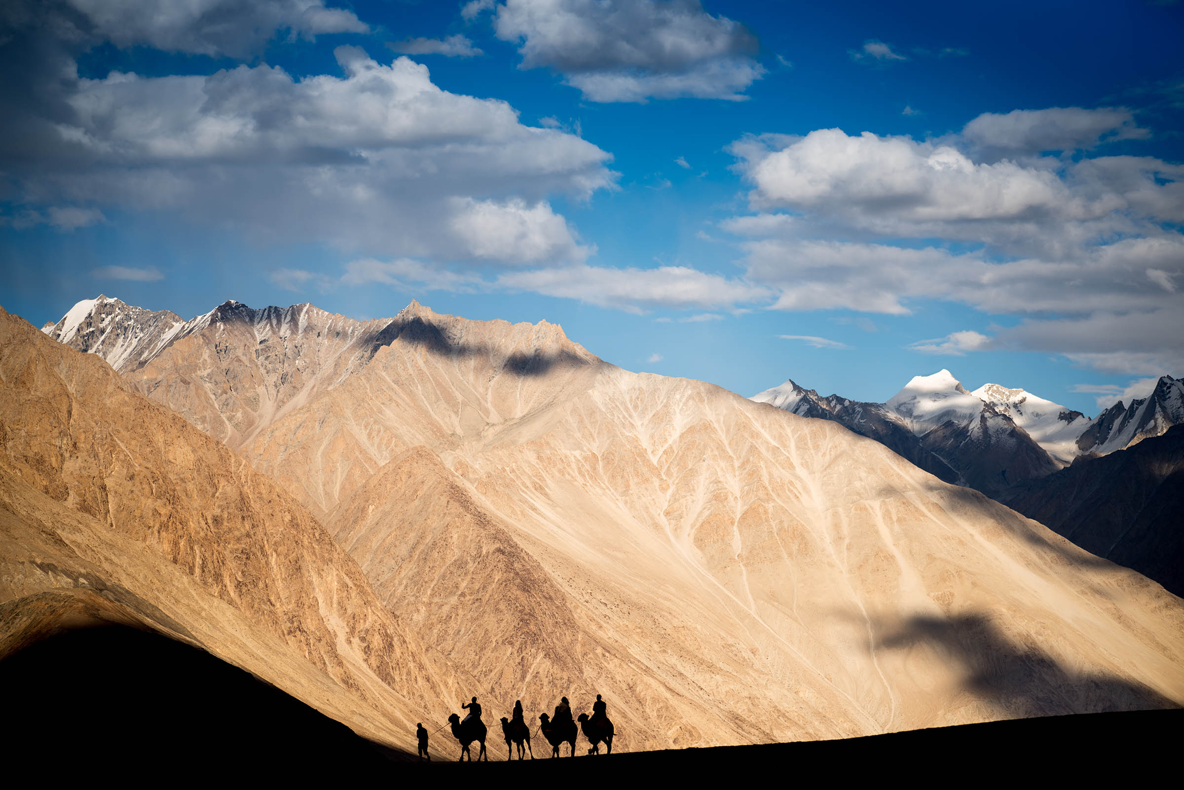 Nubra Valley, Ladakh