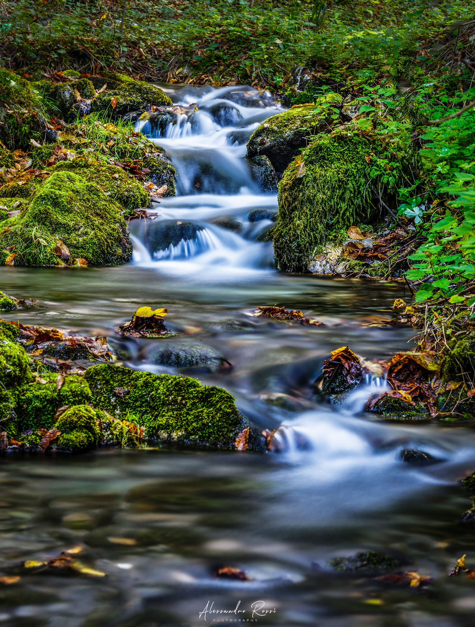 Source to Make St. Martin