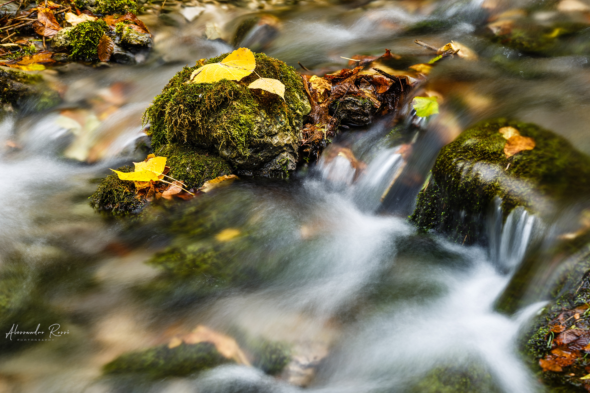 Torrent near Mouth of Valley
