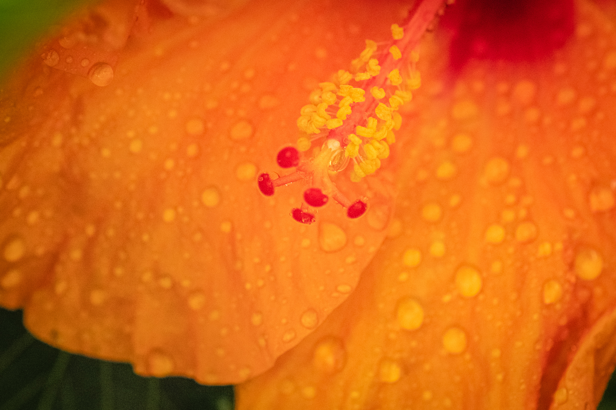 After rain