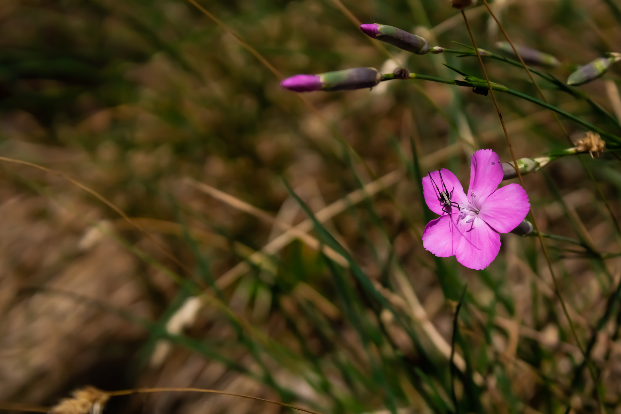 iso 400, 55mm, f/7.1, 1/400 sec