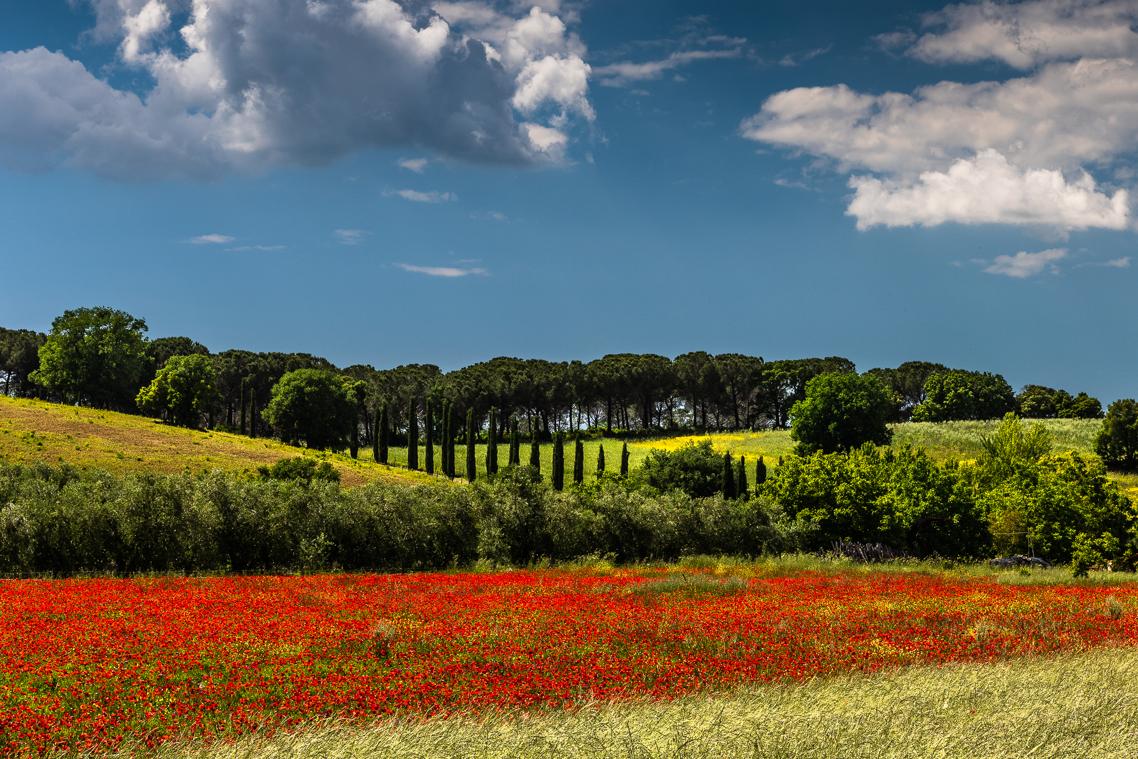 Maggio mese di colori