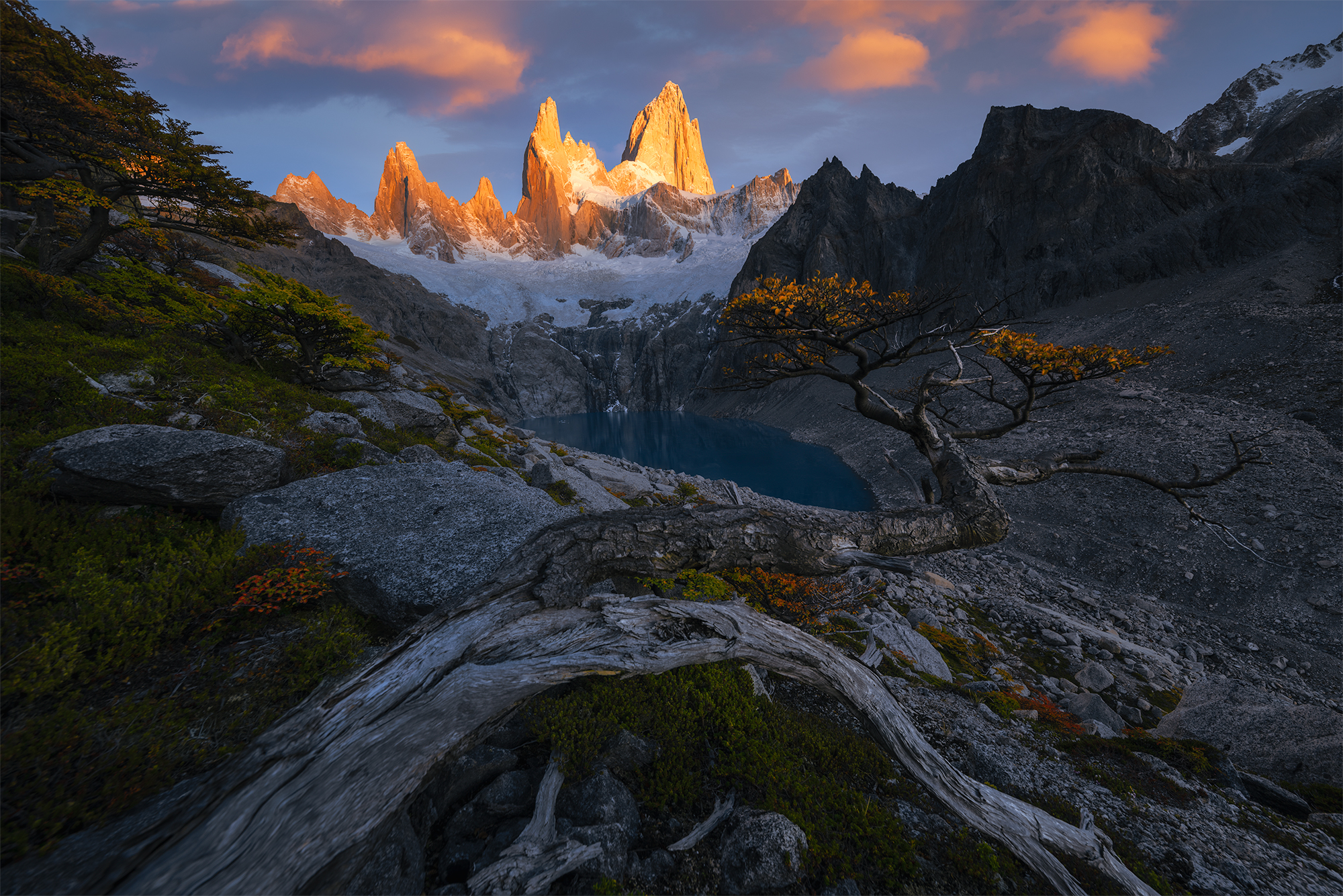 fitz roy