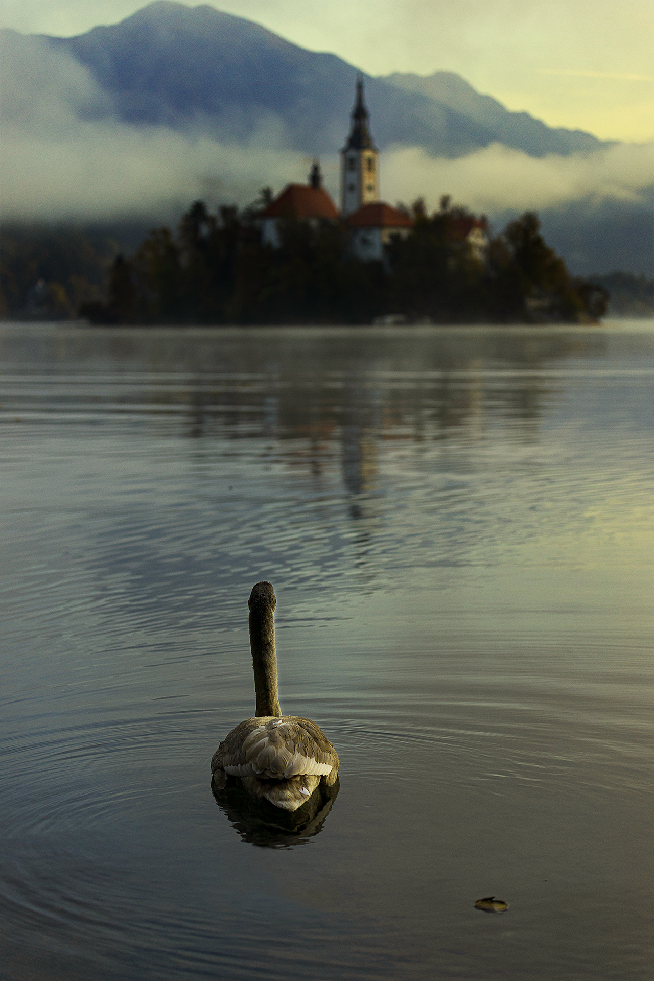 Uno sguardo sul lago