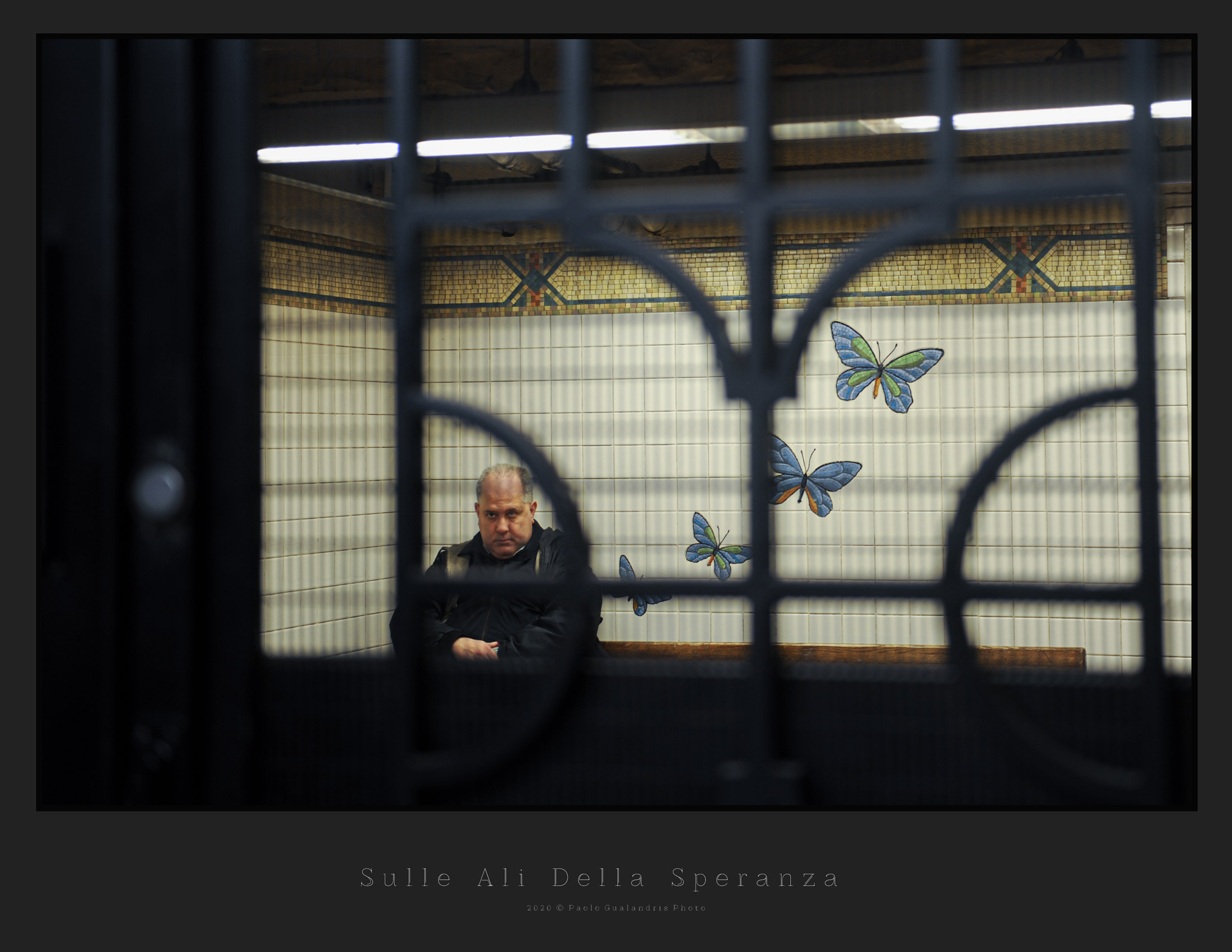 On the Wings of Hope