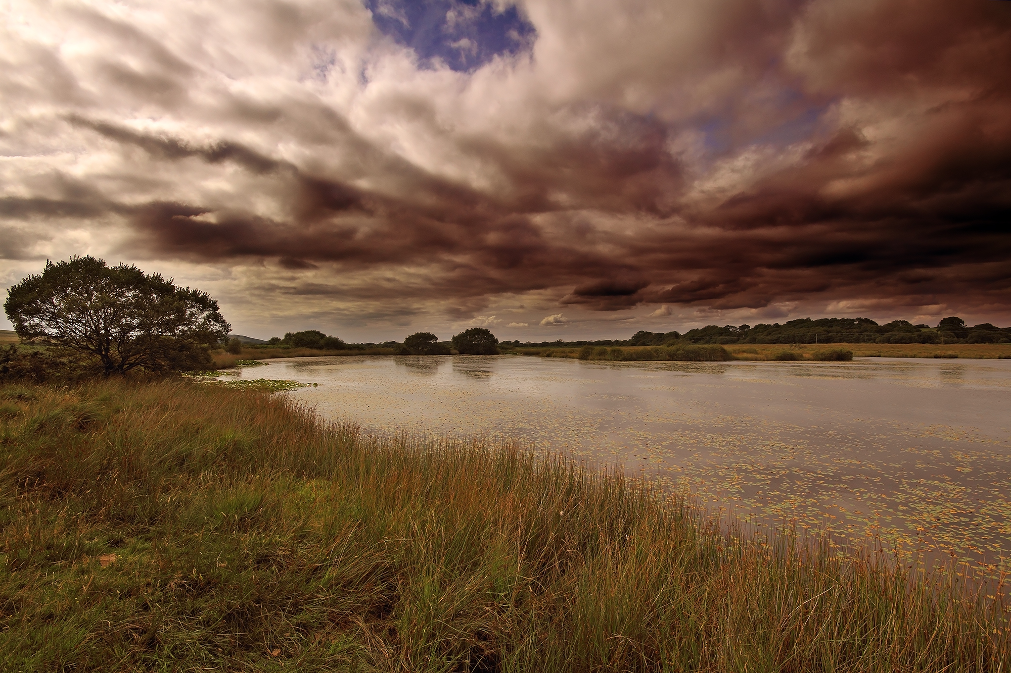 tramonto vinaccia a Gower aonb