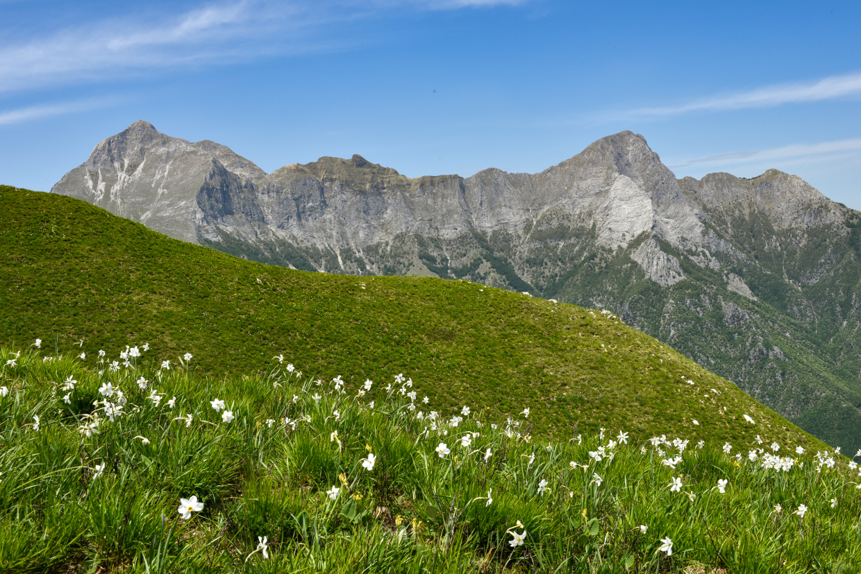 Le Apuane dal monte croce