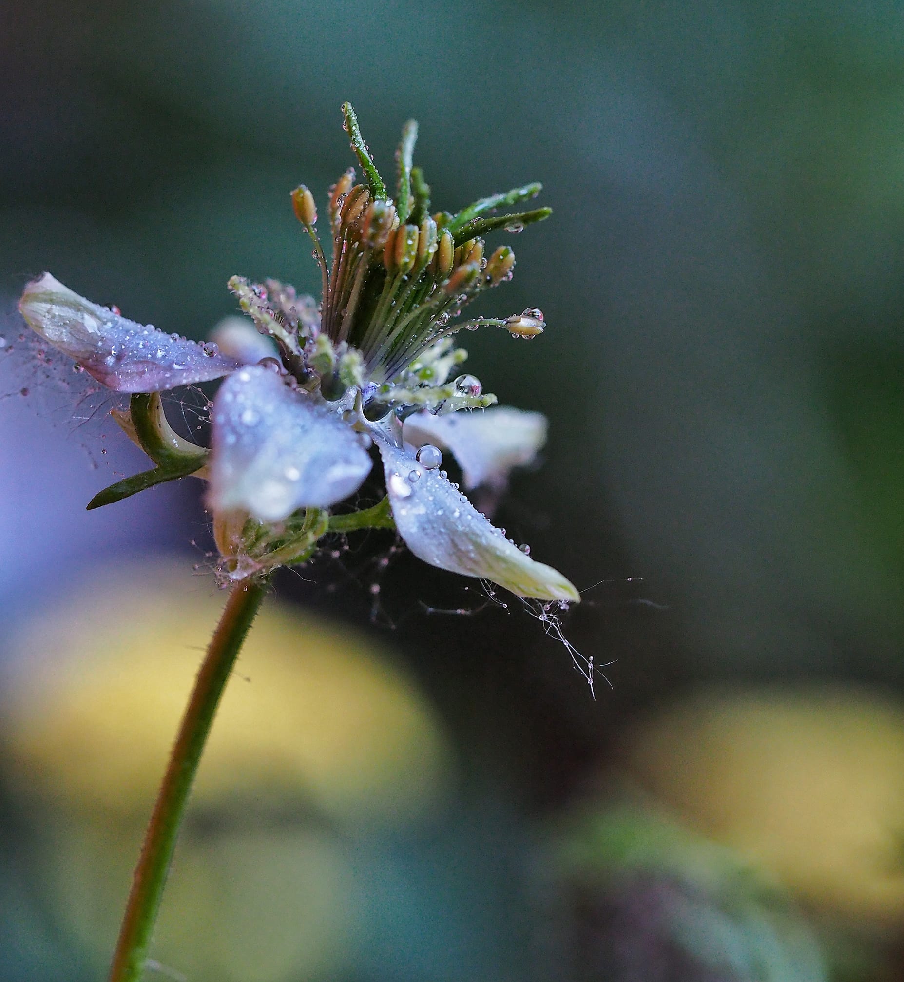 Untitled Photo